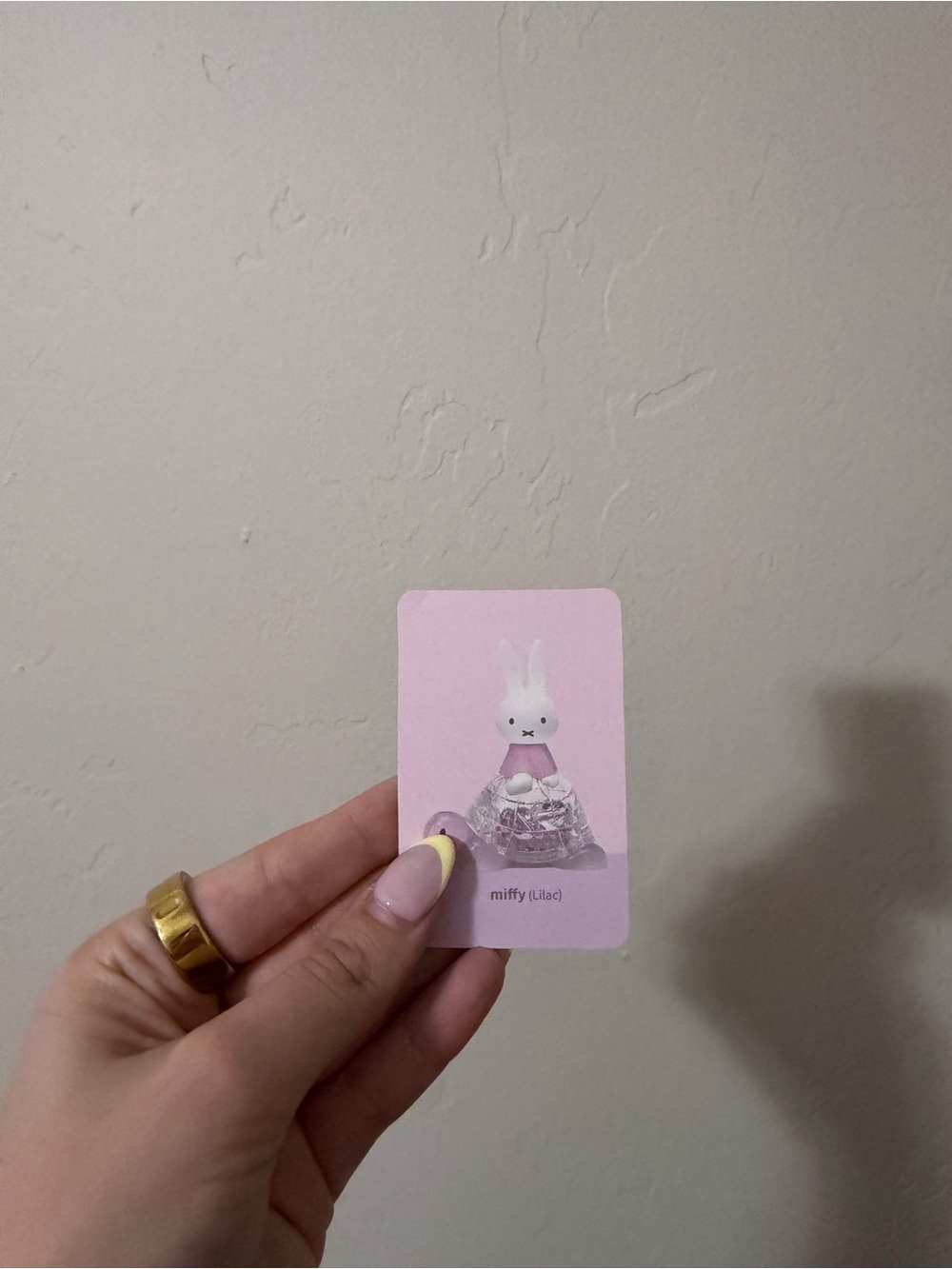 Miffy Turtle Series Blind Box- Lilac - Picture 9 of 10